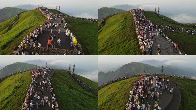 武功山夏天高山草甸