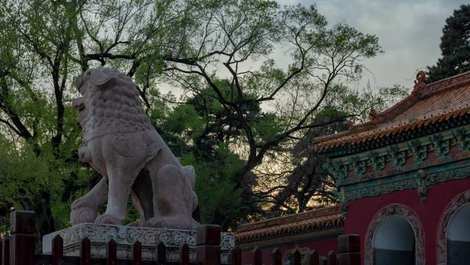 清福陵东陵正红门两侧石狮子和牌楼傍晚夜幕