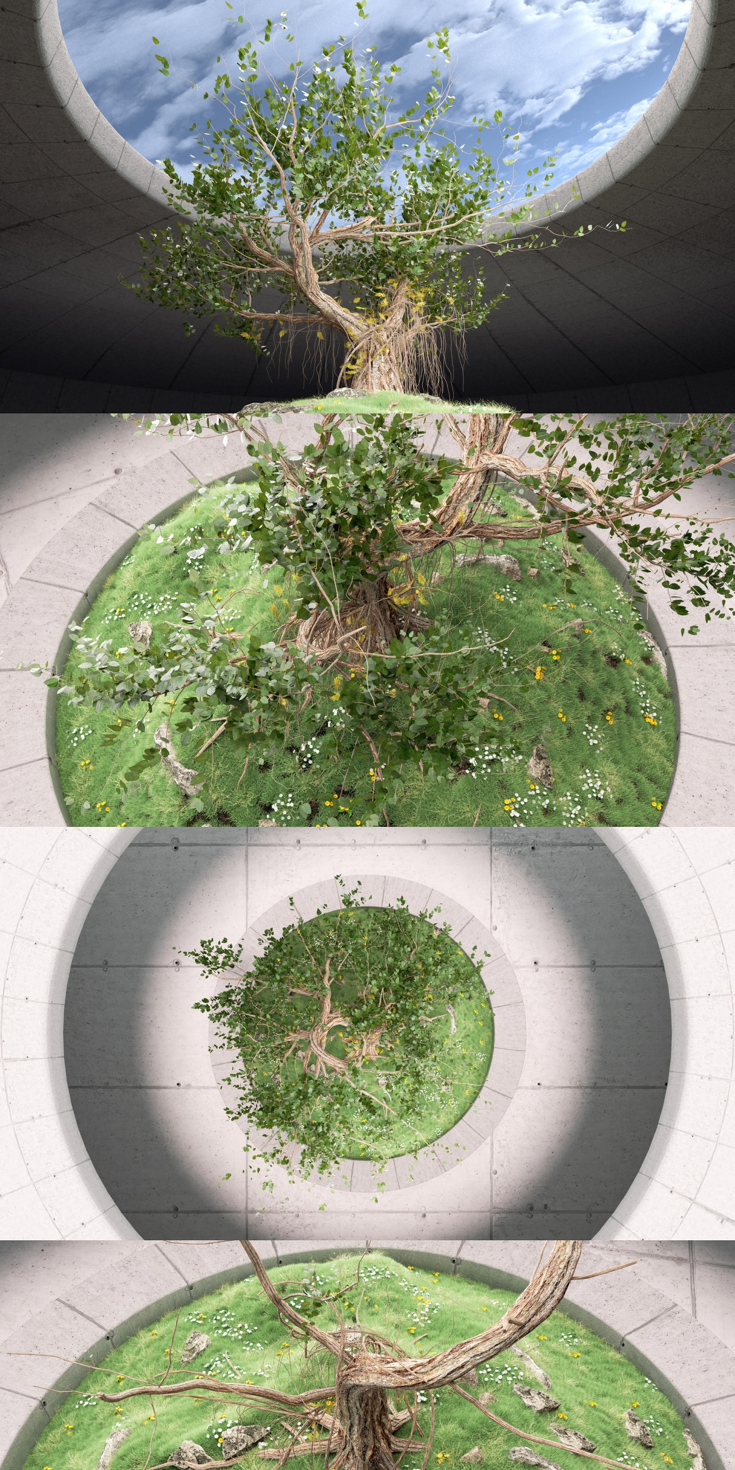 原创建筑光影树藤蔓生长三维工程