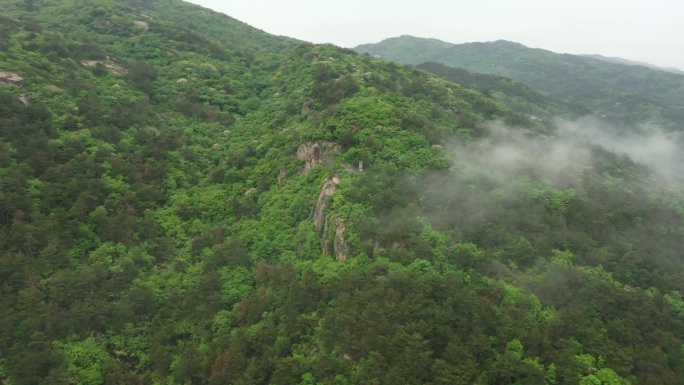 夏季大山中云雾缭绕森林高清航拍