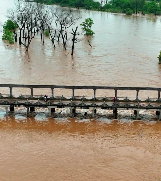 城市暴雨洪峰过境雨季航拍竖屏