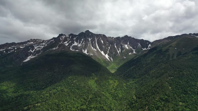 原创云南迪庆州白马雪山森林自然风光航拍