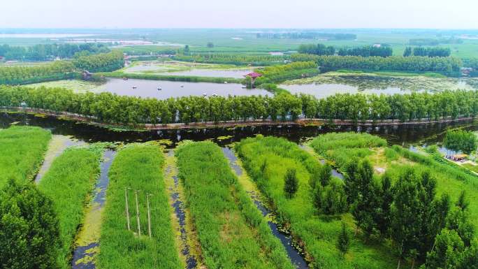 中国河北 白洋淀 实景航拍 旅游胜地