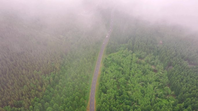 航拍乌兰布统大草原的公路