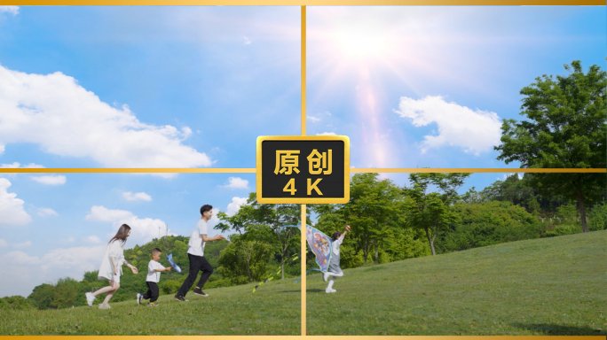 一家人草坪愉快玩耍草坪放风筝公园放风筝