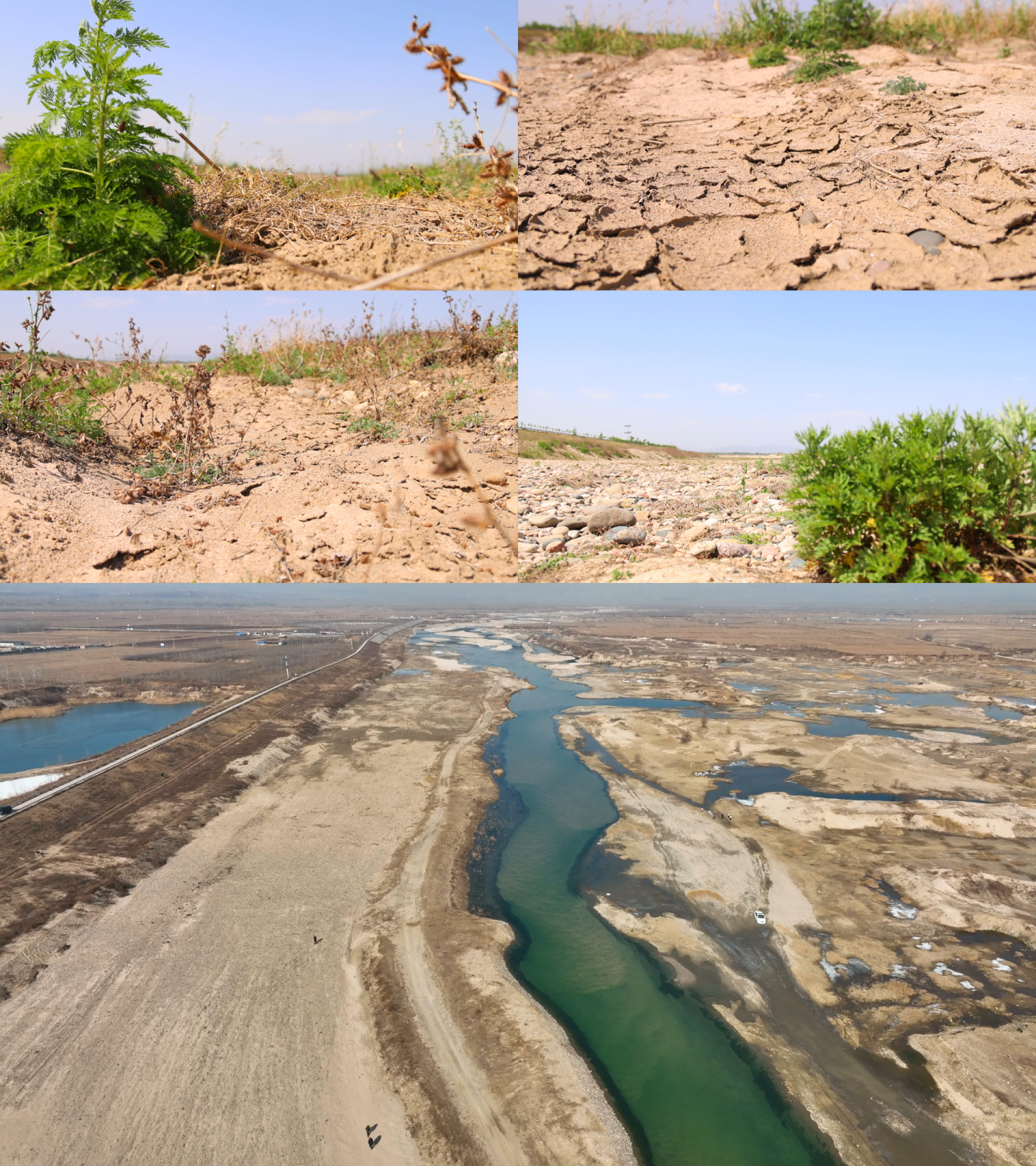 环境污染土地沙化水土流失