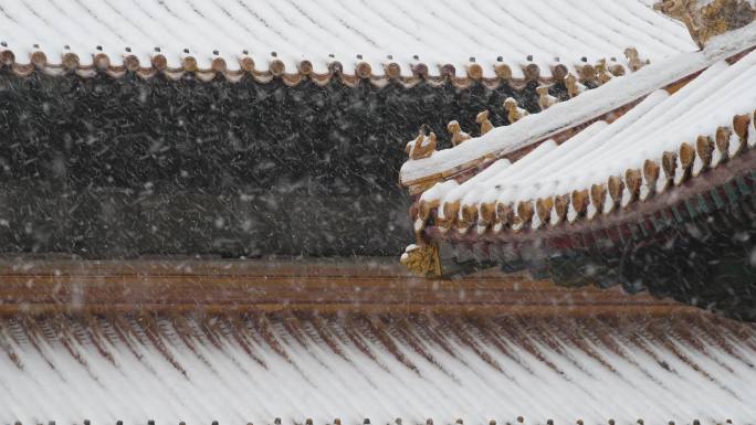 大雪中的故宫古建筑一角