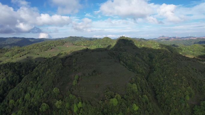 绿水青山