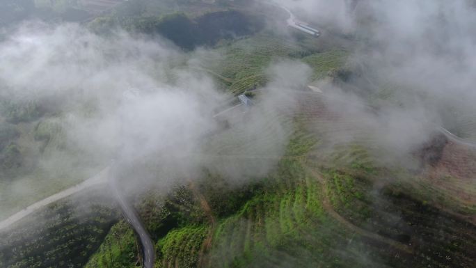 云下梯田