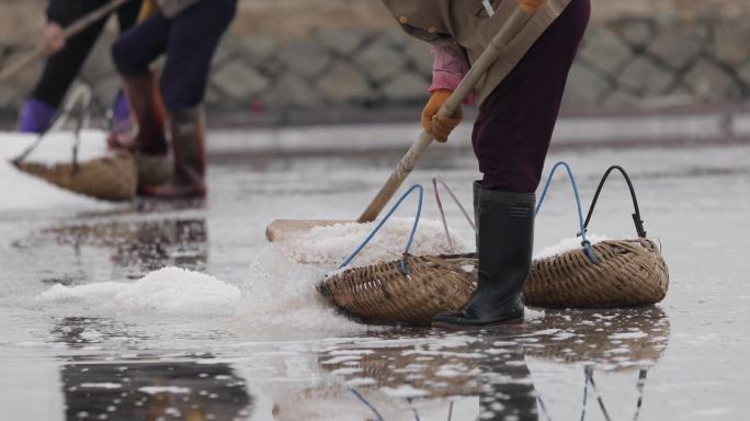 雷州渔民收海盐过程
