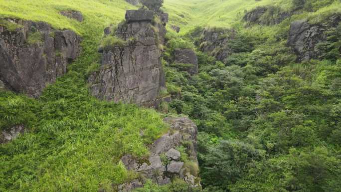 武功山夏天高山草甸