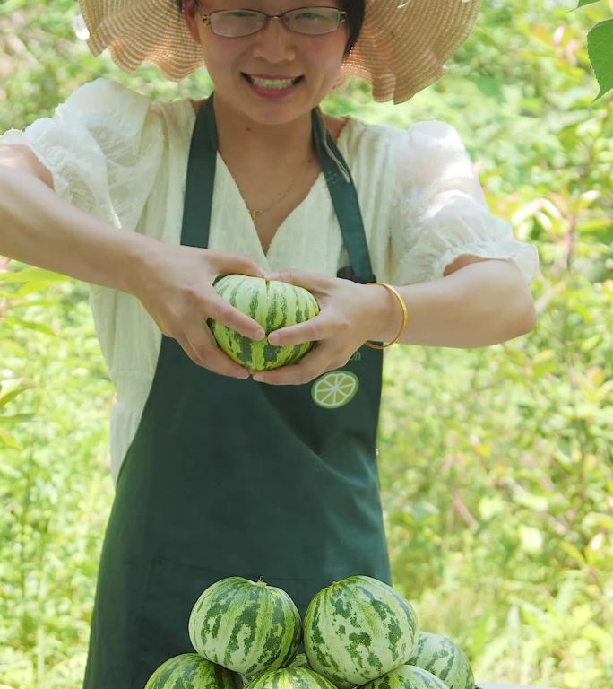 花蕾甜瓜视频