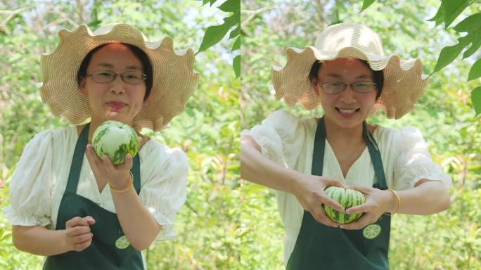 花蕾甜瓜视频