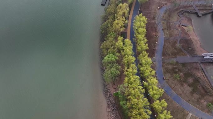 郑州北龙湖湿地公园雨景湖岸