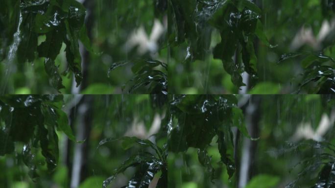 下大雨 大雨 暴雨 雷阵雨