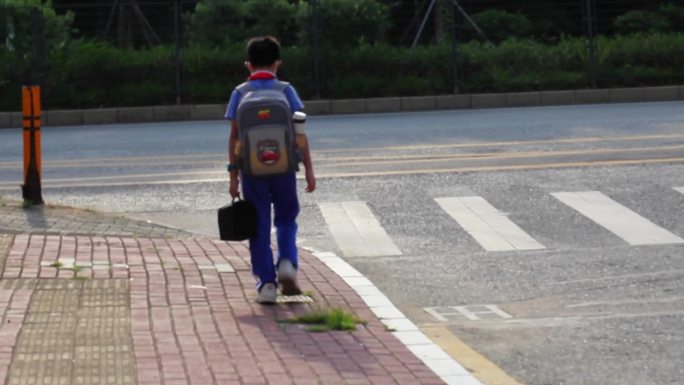 背着书包和拎着饭盒独自去上学的小学生背影