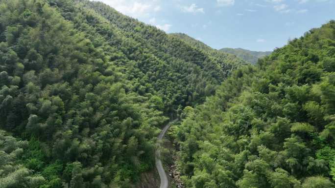 航拍浙江绍兴诸暨竹山竹海竹林蓝天青山小路