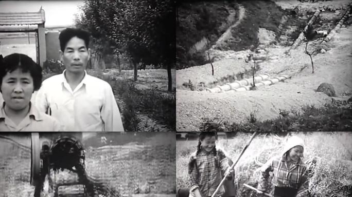 60年代的武汉农村影像