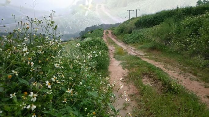 乡间小路第一书记扶贫走过的路田间泥泞路