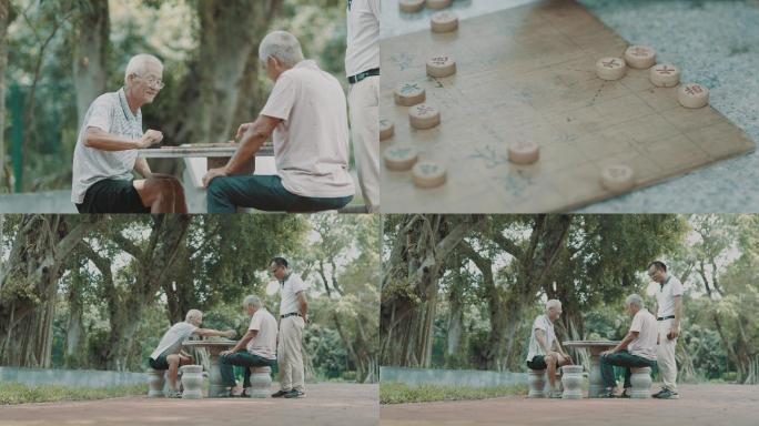 老年人公园树下下象棋