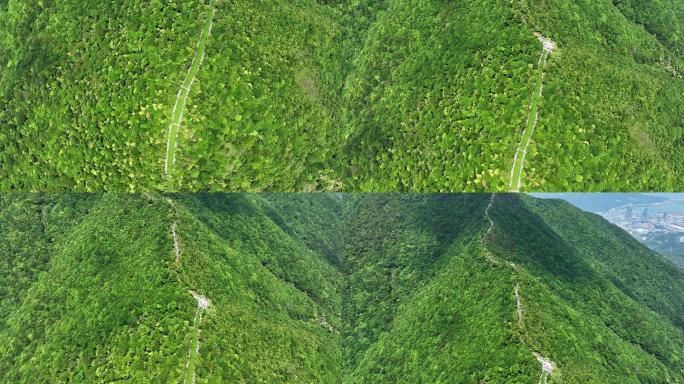 深圳 梧桐山 航拍 电视塔 鹏城第一峰