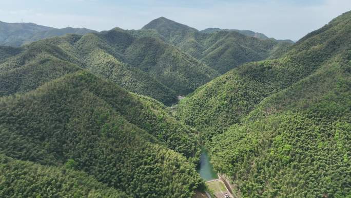 航拍浙江诸暨毛竹山竹海竹林水库生态绿色