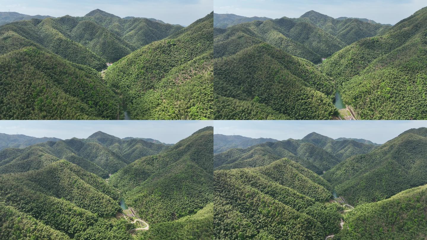 航拍浙江诸暨毛竹山竹海竹林水库生态绿色