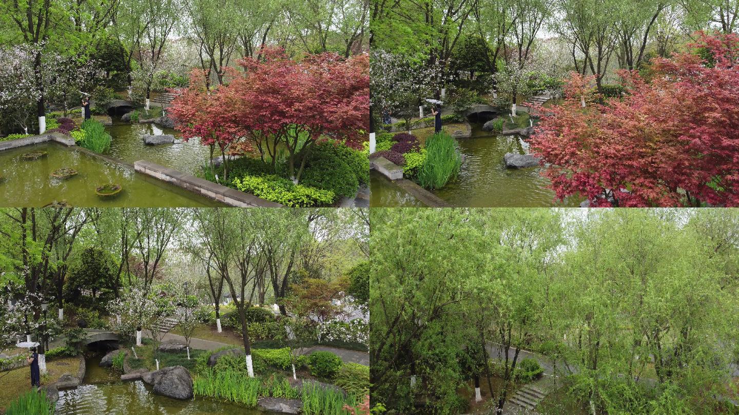 超低空航拍重庆园博园景观春意盎然唯美空镜