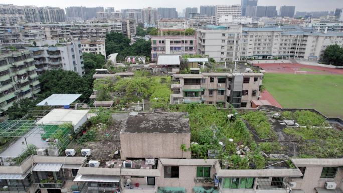 楼面杂乱场景，杂草丛生