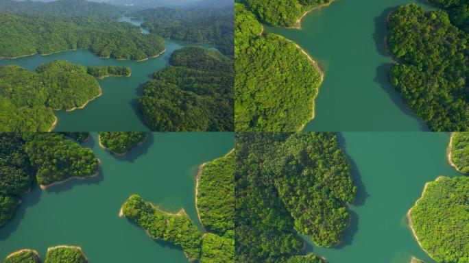 水库湿地湖泊森林航拍