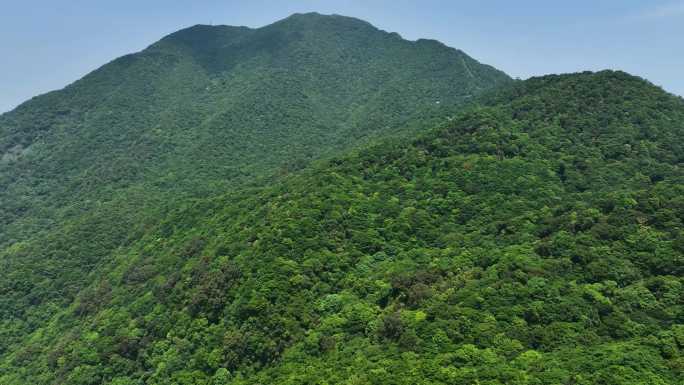 深圳 梧桐山 航拍 电视塔 鹏城第一峰