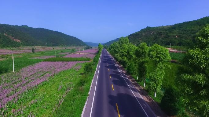 道路