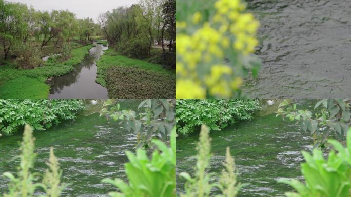 农村小溪河流4k