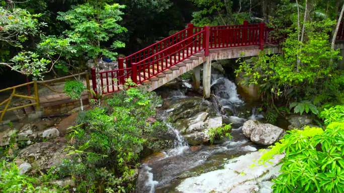 海南鹦哥岭自然保护区栈道