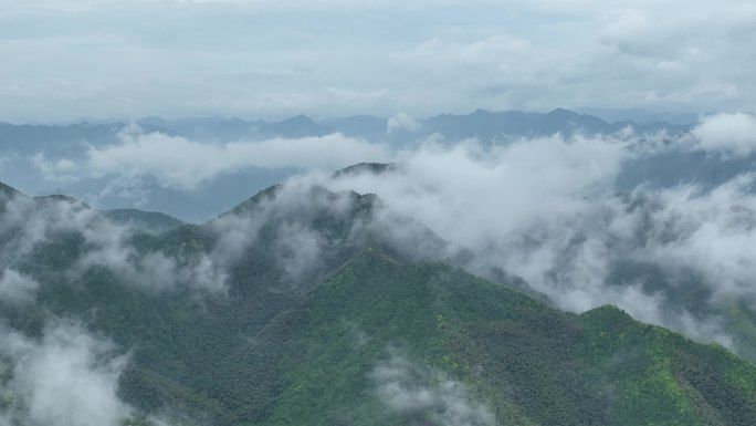 航拍浙江诸暨马剑山区竹林竹海云雾云海水墨