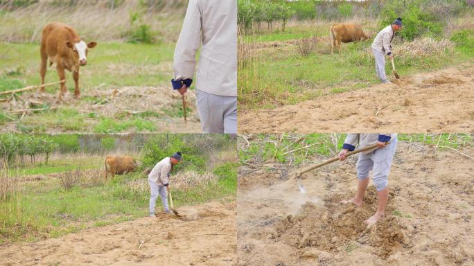 古代农夫种地种田刨地，干农活