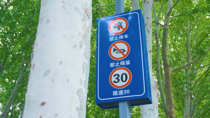 4K实拍 城市交通标识 禁止停车限速30