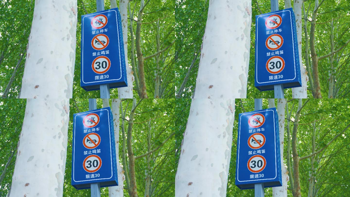 4K实拍 城市交通标识 禁止停车限速30