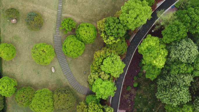 上帝视角低空航拍重庆园博园公园绿荫空境