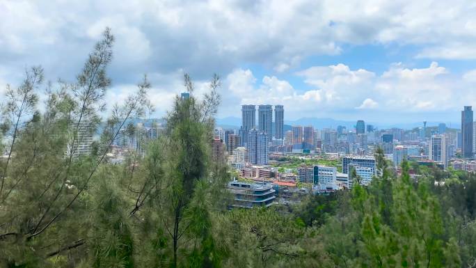 厦门城市风光风景