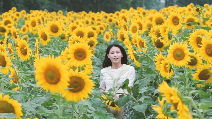 升格女孩在向日葵花海里奔跑