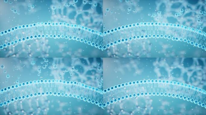 细胞膜与吸收的分子3D渲染