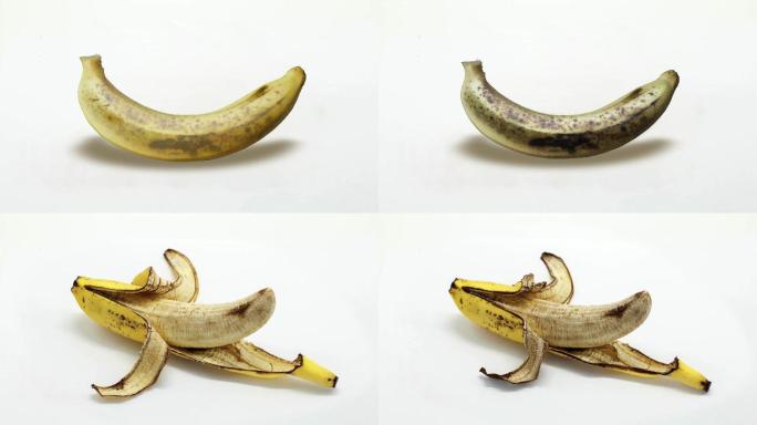 香蕉腐烂过程