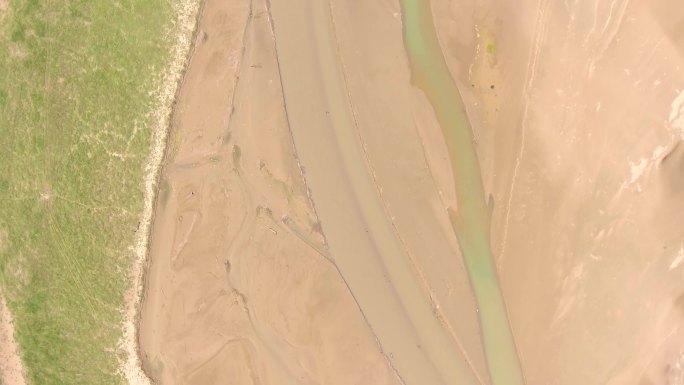 黄河滩芦苇远古史前文明黄河流域