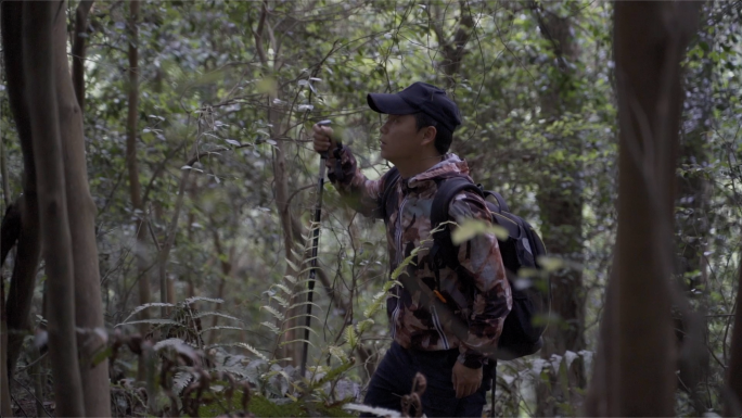 登山行者徒步探险，男人探索自然森林旅行