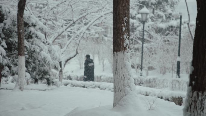 小区公园冬季雪景4K