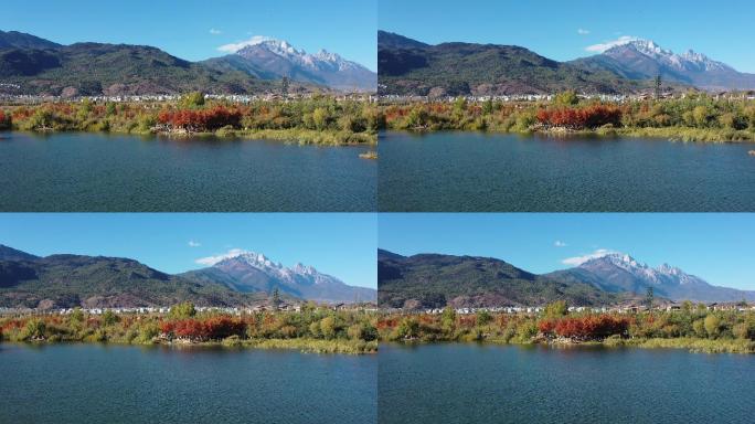 玉龙雪山远景 中济海水衫树