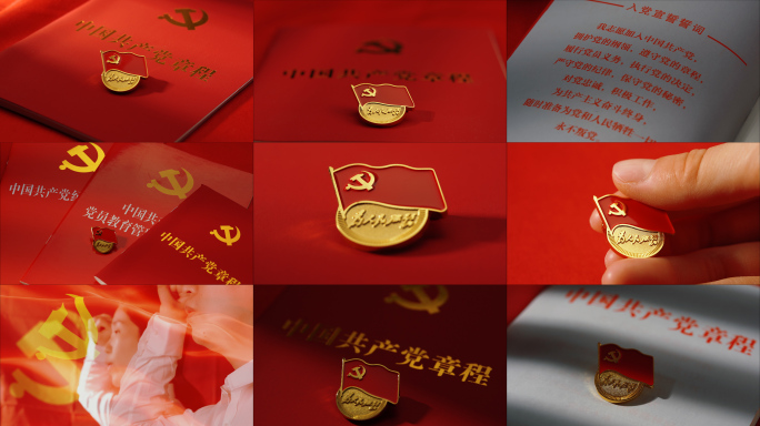 中国共产党党徽，党员戴党徽宣誓100周年