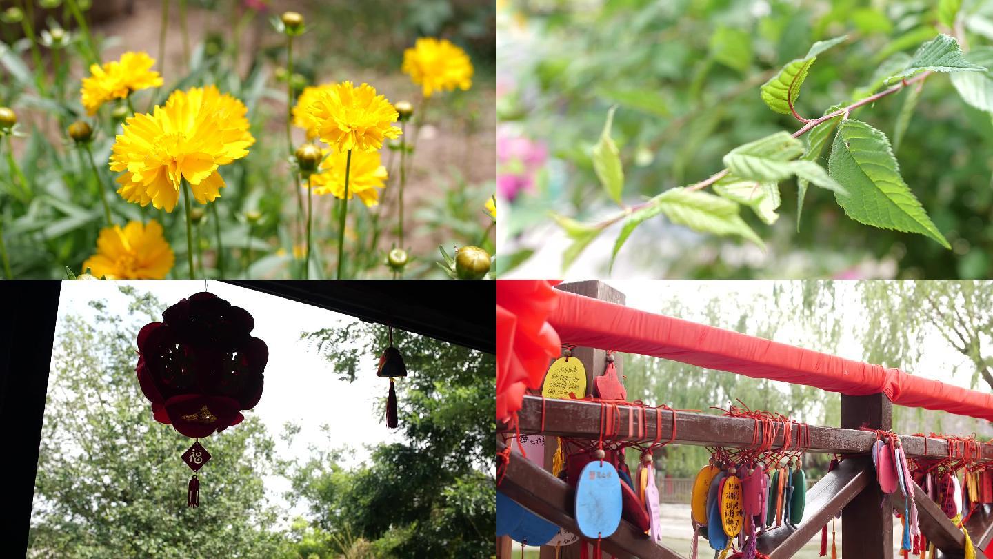 绿色 树叶 阳光下的树荫 花朵 春天花开