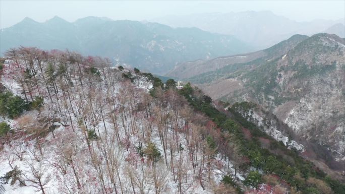 泰山雪景